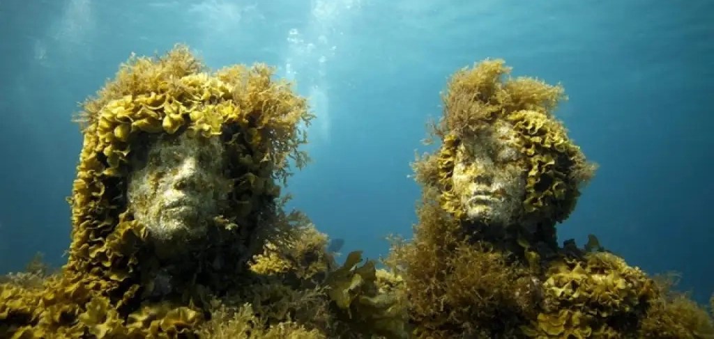 Quand l’art protège et régénère les fonds&nbsp;marins