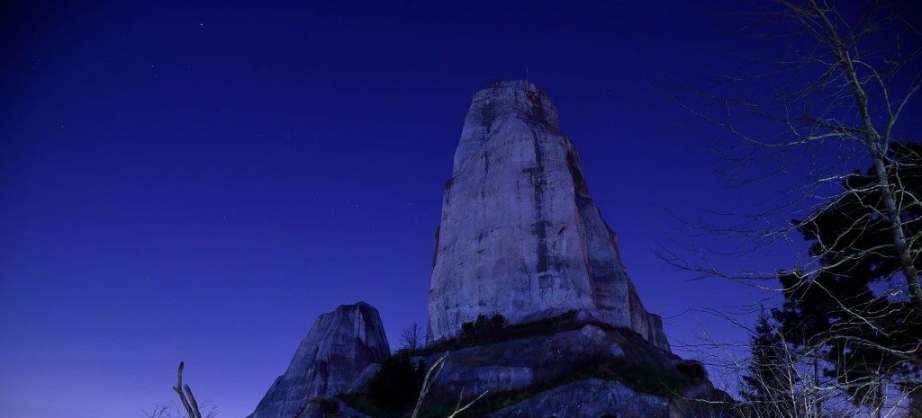 On a testé pour vous les Nocturnes du Parc Zoologique de&nbsp;Paris