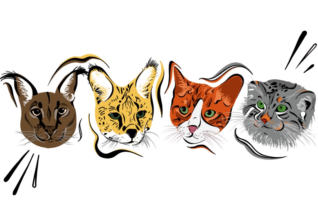 Création d&rsquo;une illustration digitale destinée à l&rsquo;impression textile